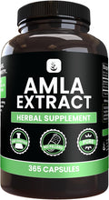 PURE ORIGINAL INGREDIENTS Amla Extract (365 Capsules) No Magnesium Or Rice Fillers Always Pure Lab Verified
