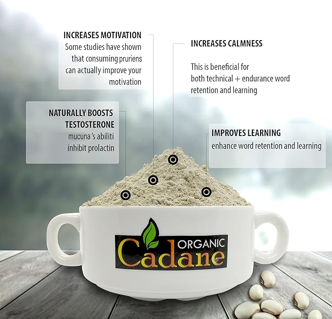 Organic Cadane Mucuna Pruriens Powder 1 Pound | Promotes Brain Health Supports Immune System Energy | USDA Certified Vegan-Friendly Supplements | Pure Natural Velvet Beans Extract from India