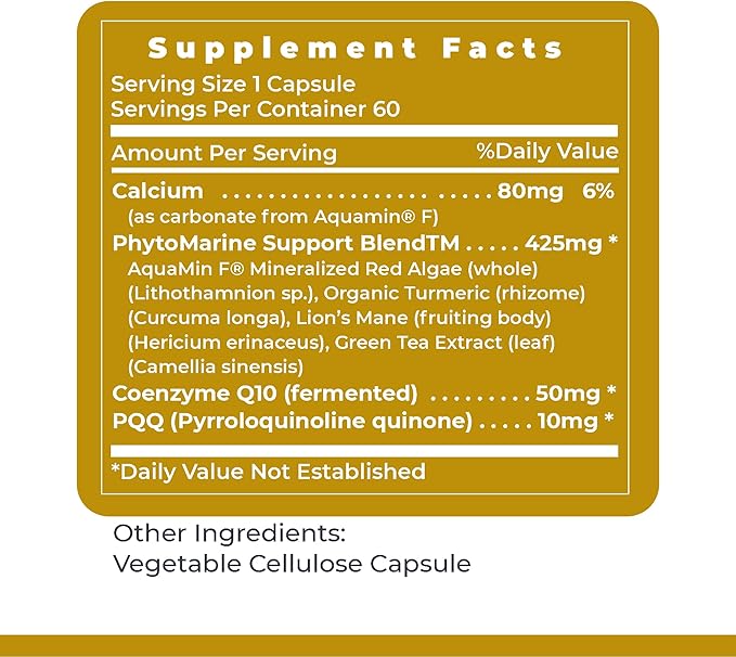 Premier Research Labs Premier PQQ Complex with CoQ10 - Coenzyme Q10 Co Q 10 Supplement with Pyrroloquinoline Quinone (PQQ) for Antioxidant Brain &amp Heart Support - 60 Vegetarian Capsules