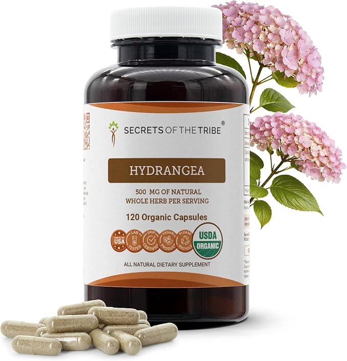 Secrets of the Tribe Hydrangea USDA Organic Capsules | Certified Organic Vegetarian Capsules Herbal Dietary Supplement | Hydrangea arborescens Dried Root (120 Count)