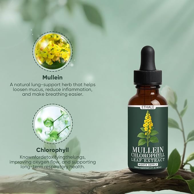 ETHALE Mullein Drops for Lungs - Mullein + Chlorophyll Lung Drops Respiratory Support &amp Lung Detox Formula with Chlorophyll Mullein Leaf Extract 1 Month Supply