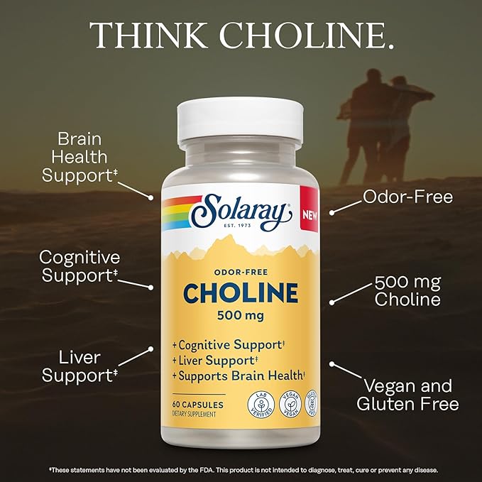 SOLARAY Choline 500 mg – Cognitive Brain Health and Liver Support Supplement – Powerful Brain Supplement &amp Choline Source for Adults – Odor-Free Vegan Liquid VegCaps – 60 Servings 60 Capsules