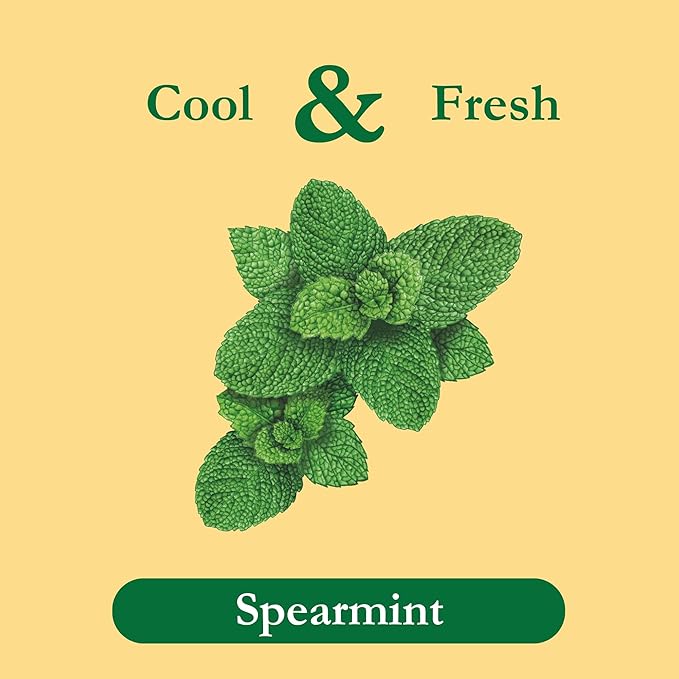 Tadin Spearmint Tea Herbal Tea Caffeine Free 24 Tea Bags Per Box Pack of 6