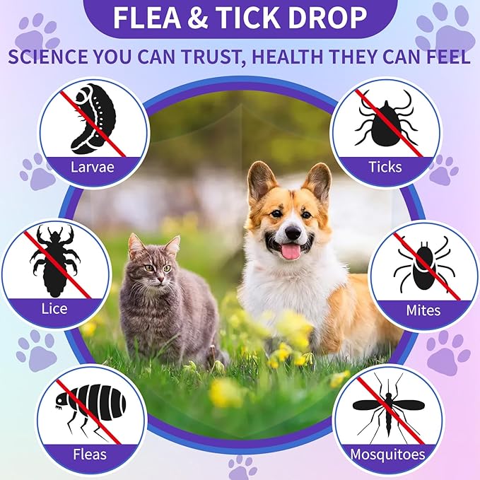 L-lysine Supplement for Cats to Boost Cat Immunity + Flea and Tick Support for Dogs and Cats Natural Flea Treatment Chicken &amp Bacon Flavor for Daily Wellness