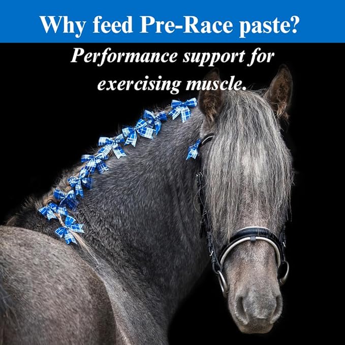 SU-PER Pre-Race Paste for Horses - Performance Support for Exercising Muscle - Buffered Creatine Amino Acids Herbal Extracts Anti-Oxidants B-Complex Vitamins - 60CC Case of 4