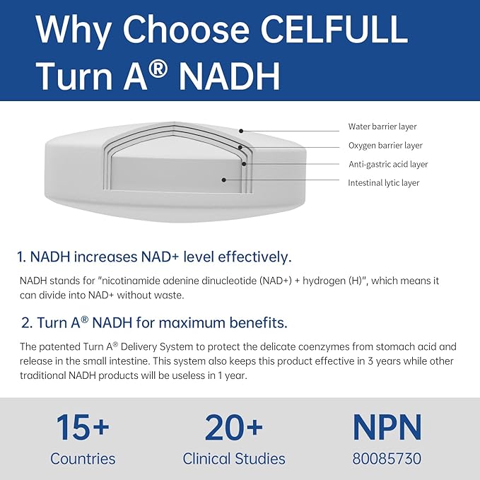 CELFULL NADH Supplement 40mg Enchance NMN Alternative NAD+ Supplement for Immune Support Anti-Aging Boost Brain Cognition &amp Chronic Fatigue Supplements (Deep Blue 30 Tablets)