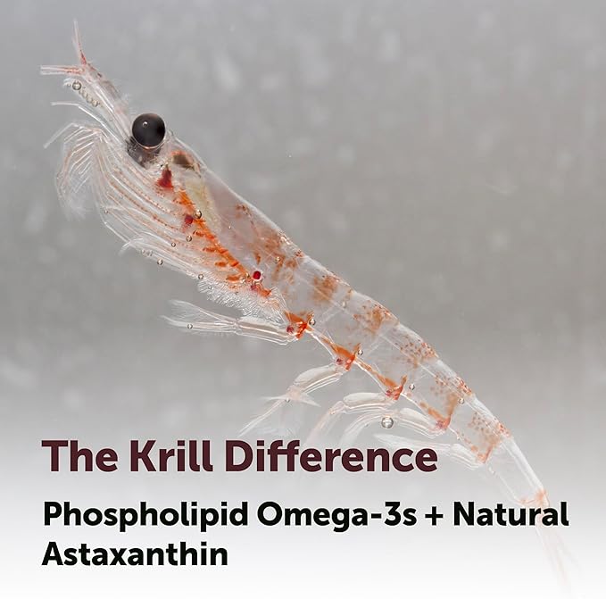 Micro Ingredients Antarctic Krill Oil Supplement 1000mg Per Serving 300 Soft-Gels Rich in Omega-3s EPA DHA &amp Natural Astaxanthin Supports Immune System &amp Brain Health Easy to Swallow