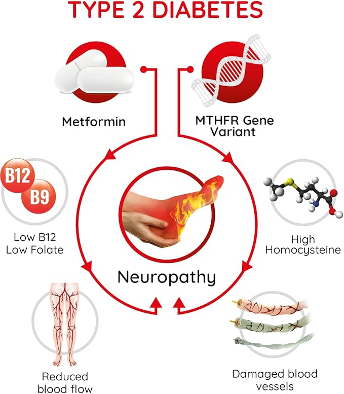 NerveReverse Neuropathy Support Formula Capsules - 3 Pack (3 Bottles) - 90 Day Supply