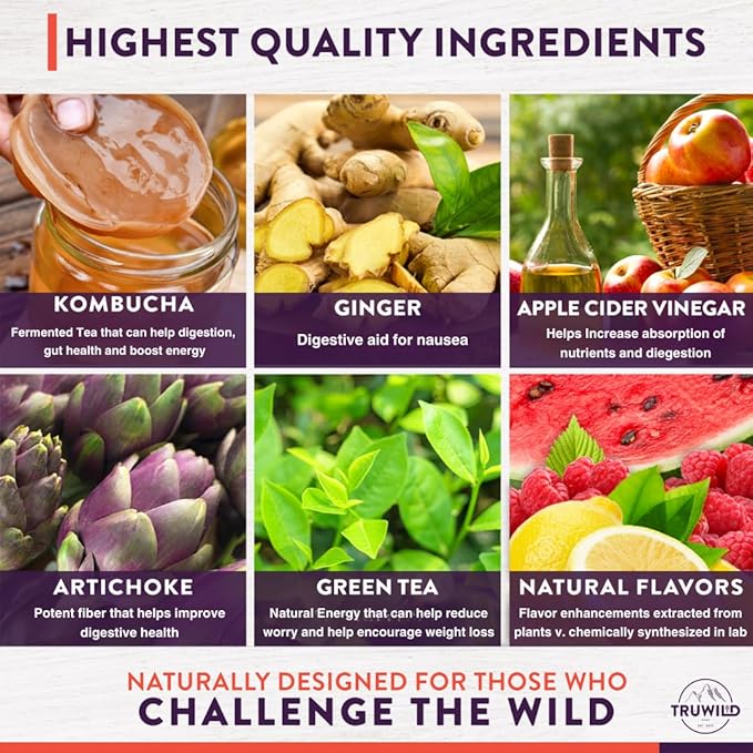 TruWild Natural Kombucha Powder Probiotic Supplement Vegan Drink Mix – Gut Health Digestive Enzymes w/Live Cultures + Apple Cider Vinegar &amp Prebiotics – 20 Servings