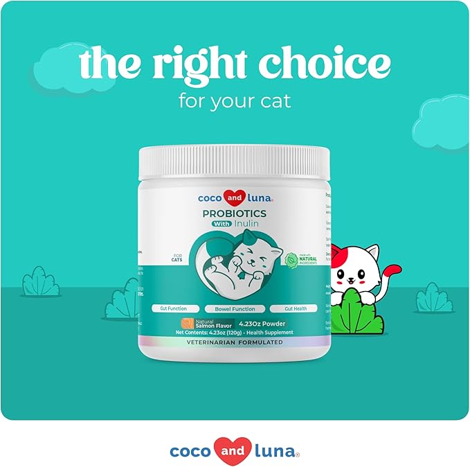 Lysine + Probiotics &amp Prebiotics for Cats - Immune Support Eye Function Bowel Function &amp Gut Health.