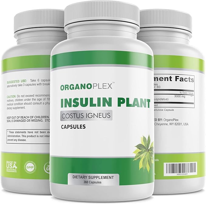 Insulin Plant Capsules (Costus Igneus) 100% Natural Supplement 360 Veggie Caps (2 Month Supply) - Insulin Plant