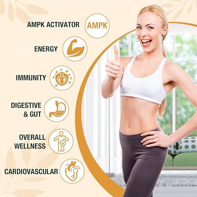 Liposomal Berberine HCL Supplement Liquid 3000mg - High Absorption Berberine Drops with Ceylon Cinnamon - 12-in-1 Formula AMPK Activator Sugar Free - 2 fl oz