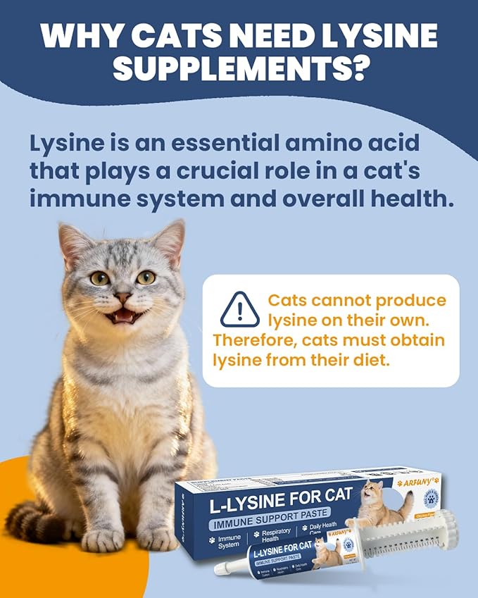 Cat Lysine Powder &amp Cat Lysine Paste Immune System Normal Eye Function and Respiratory Health