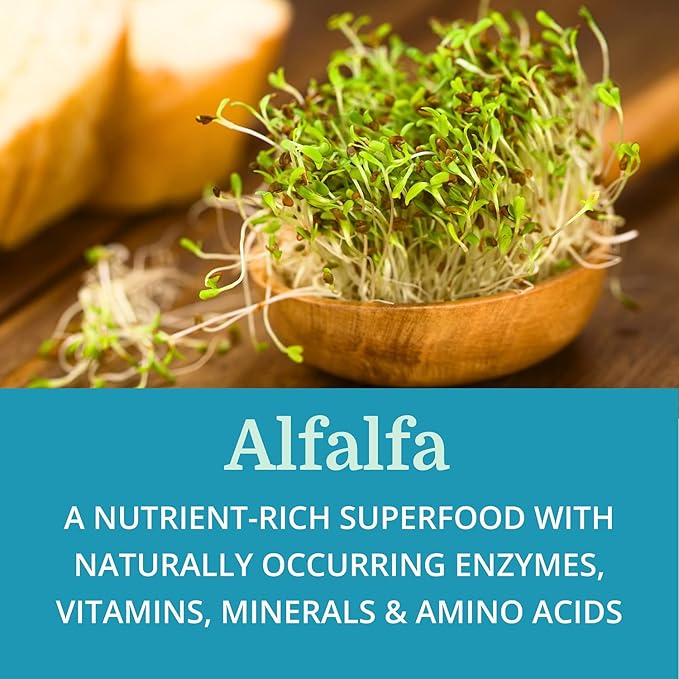 SuperDigest (12 Pack) Best Process Alkaline — Multi-Enzyme Digestive Support — Digestive Enzymes with Alfalfa Papain &amp Bromelain (Vegetarian Friendly)