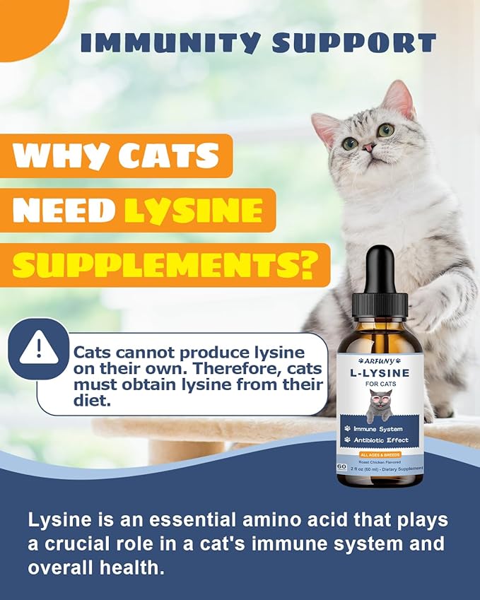 L-Lysine Supplement for Cats 60ML Lysine for Feline Respiratory Sneezing Runny Nose Eye Function &amp Cat Lysine Powder Support Immune System Respiratory Eye Health