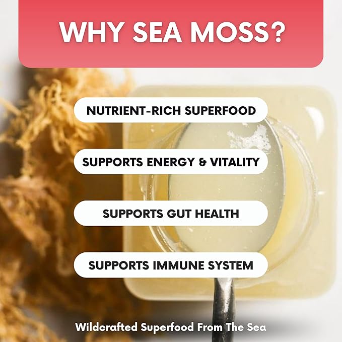 Wildcrafted Irish Sea Moss Gel 16 oz | Made in USA | Gold Seamoss Superfood | Rich in Vitamins &amp Minerals | Real Fruit | Nutritional Supplement | Strawberry