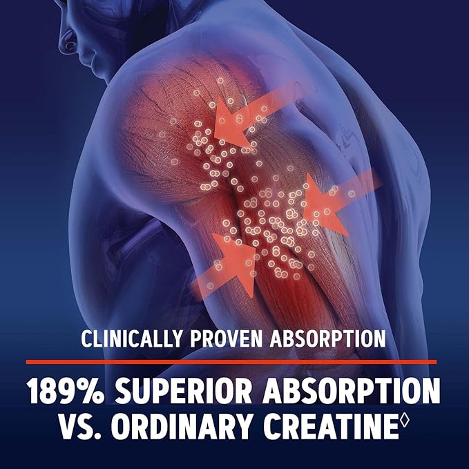 GNC AMP Creatine HCl 189 Pills Supports Strength &amp Muscle Building Athletic Performance Energy Production Recovery Supplement Fast Absorbing Gluten Free Formula 240 Tablets (1 Pack)
