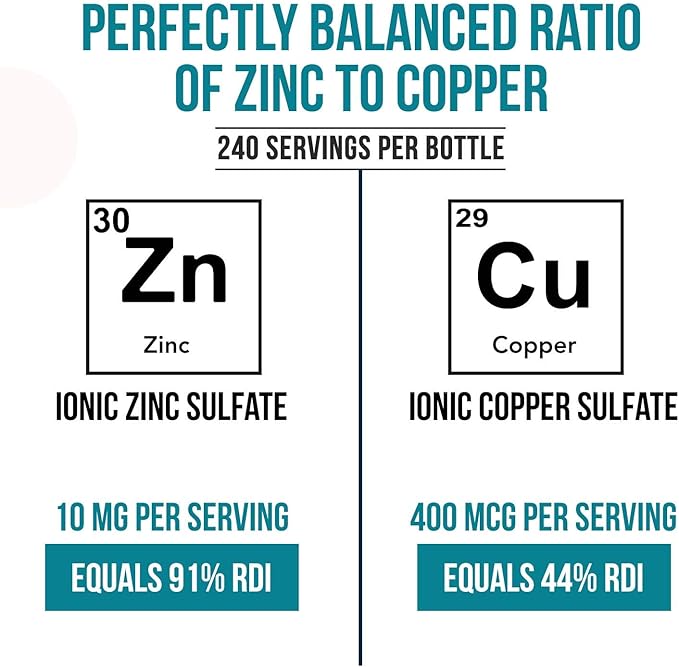 Ionic Zinc Plus Copper Liquid Concentrate 240 Servings Glass Bottle Vegan - Balanced Ratio of Zinc Copper - Supports Immunity Brain Thyroid (2 oz.)