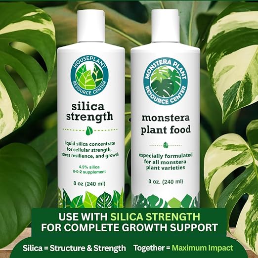 Silica Strength Plant Supplement – Strengthens Stems Supports Upright Leaves &amp Improves Stress Resilience | Ready-to-Use 4.5% Liquid Concentrate for Houseplants | 8 oz | Makes 96 Gallons