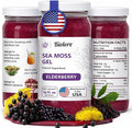 Biolore Wildcrafted Sea Moss Gel - Elderberry 16 oz - Flavored Sea Moss Gel with Essential Vitamins &amp Trace Minerals - Vegan Superfood - Made in USA Gluten-Free No Added Sugar