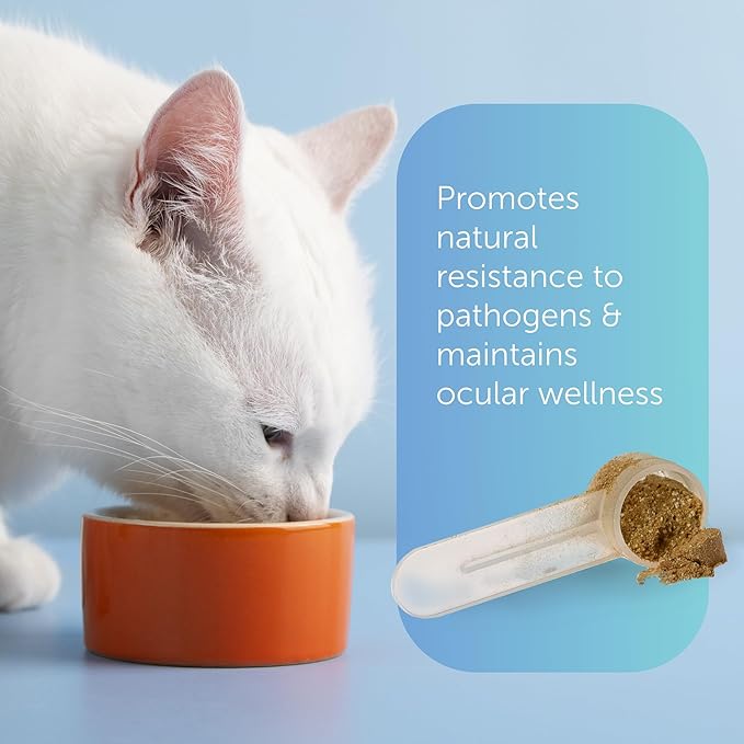 Immuno-5 Immune &amp Respiratory Support Powder for Cats from Veterinarian Recommended Solutions with L-Lysine Omega-3 &amp Egg Yolk