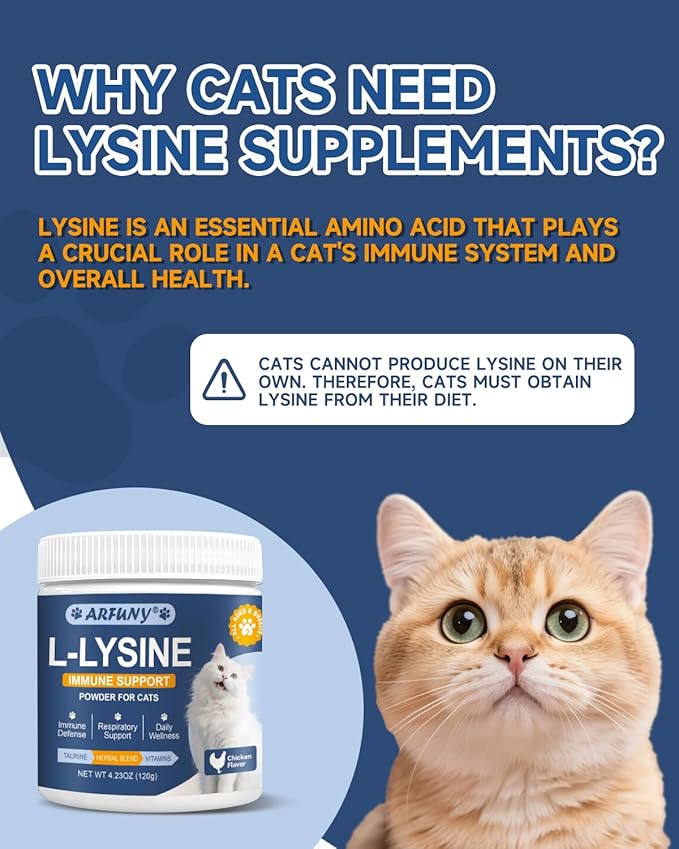 L-Lysine Supplement for Cats 60ML Lysine for Feline Respiratory Sneezing Runny Nose Eye Function &amp Cat Lysine Powder Support Immune System Respiratory Eye Health