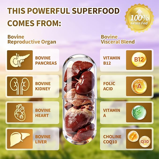 VivoNu Beef Organ Supplement for Women - Beef Liver Kidney Pasture Raised in New Zealand - No Fillers or Flow Agents (360 Capsules)