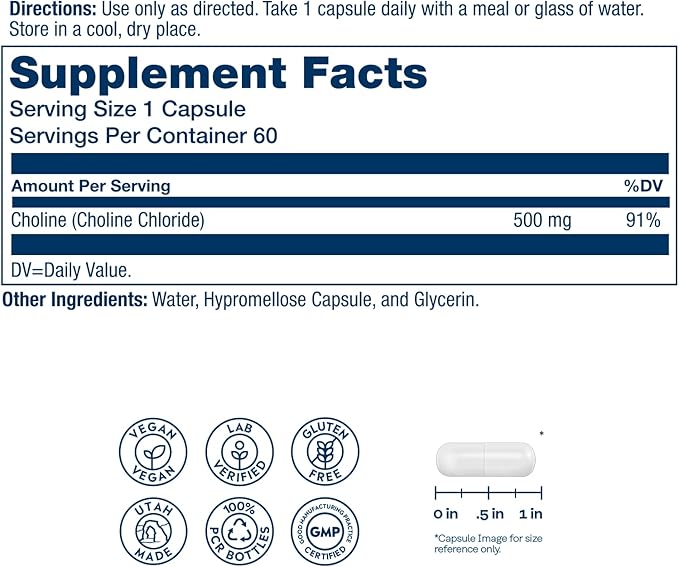 SOLARAY Choline 500 mg – Cognitive Brain Health and Liver Support Supplement – Powerful Brain Supplement &amp Choline Source for Adults – Odor-Free Vegan Liquid VegCaps – 60 Servings 60 Capsules