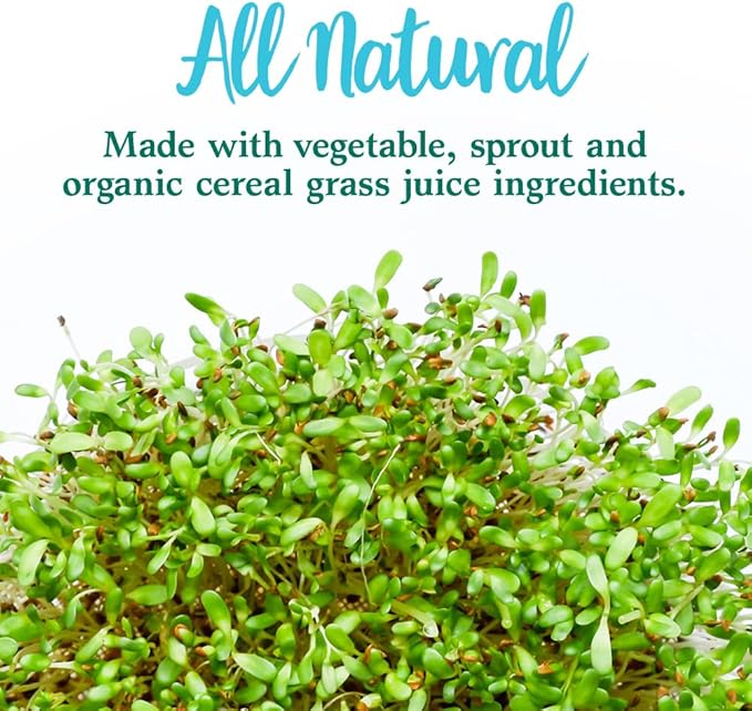 Garden of Life Perfect Food Super Green Formula - 14 Servings | 45 Superfoods Greens Fruit &amp Veggie Juice Superfood Powder Supplement Probiotics &amp Organic Spirulina for Digestion &amp Immu