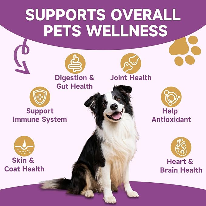 L-Lysine for Cats Cat Lysine for Feline Respiratory Sneezing Runny Nose Eye Function Mushroom for Dogs &amp Cats - Support Immune System Digestion Skin &amp Coat