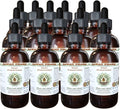 Hawaii Pharm Boldo Alcohol-Free Liquid Extract Boldo (Peumus boldus) Dried Leaf Glycerite Natural Herbal Supplement 15x4 oz