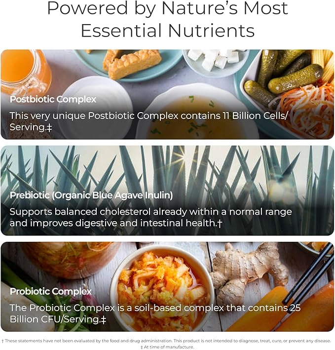 Livingood Daily Pre Pro Post Biotics Blend Powder Digestive Health Supplement with Prebiotics from Organic Blue Agave Inulin SBO Probiotics Probiotics for Women &amp Men Non GMO Vegan 30 Servin