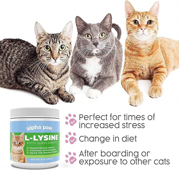 Alpha Paw - Human Grade for Pets - Cat Lysine Supplement - Extra Servings 5-10 Month Supply - Natural Lysine (8 Ounces/227 Grams)