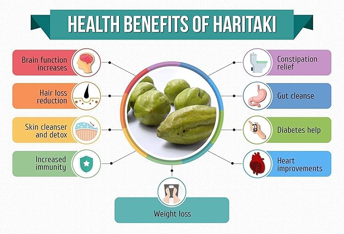 SENTA Kadukkai Powder l Haritaki Powder l Terminalia Chebula Powder | Pack of 101 gm