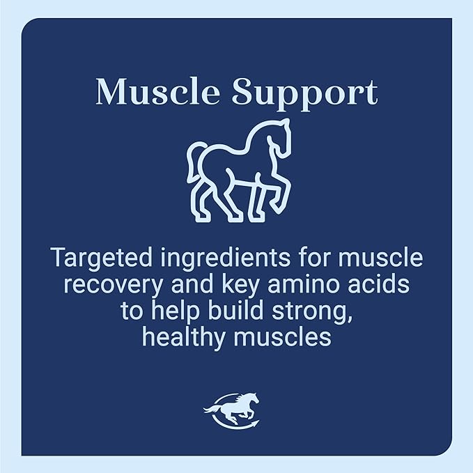 Acetyl L-Carnitine HCL Powder | Horse Energy Supplement &amp Muscle Supplement for Horses Supporting Muscle Function &amp More | Antioxidant-Rich Pure Formula | 1 lb Bag