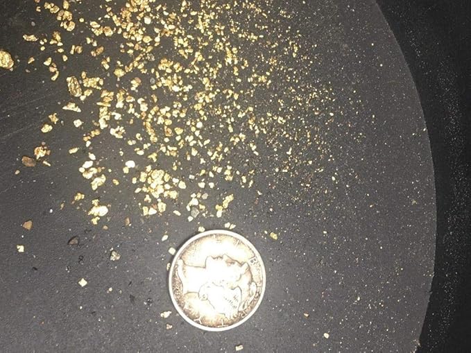 Prestige Minerals and Gems Gold Paydirt 25 LB from Colorado - Unsearched Gold Paydirt Bags - Pan at Home - Guaranteed Gold