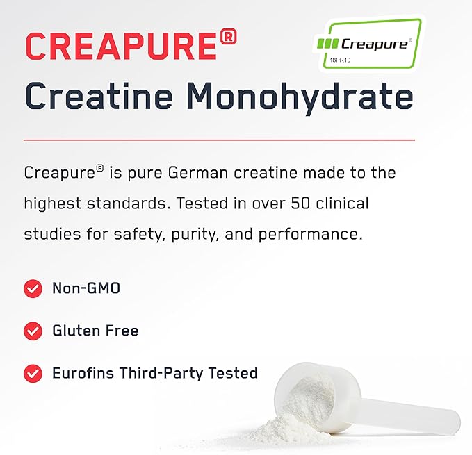 SteelFit Creapure Pure Creatine Monohydrate Powder for Men &amp Women Watermelon - Flavored Creatine Gym Workout Supplements for Lean Muscle Gain Brain Health &amp Strength Building - 30 Servings