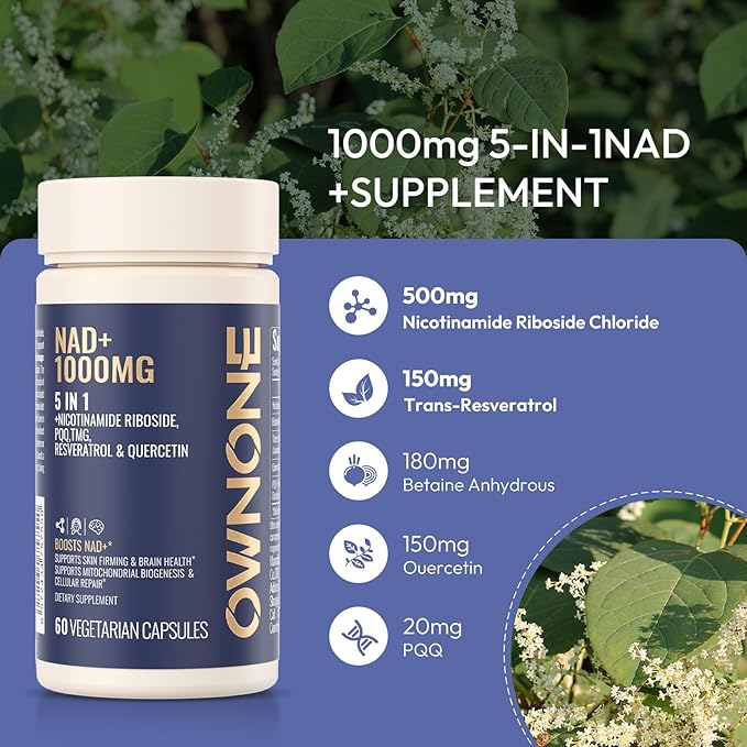 NAD+ Supplement with Nicotinamide Riboside Resveratrol Ouercetin etc NR Supplement for Healthy Aging Cellular Energy Production and MetabolismVegetarian NAD CapsulePack of 2