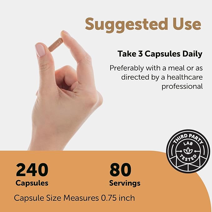 Micro Ingredients Nattokinase 10000 FU Per Serving (Natural Natto Extract) 240 Vegetarian Capsules | with CoQ10 Turmeric Aged Garlic &amp Pine Bark Extract | Non-GMO Lab Tested cGMP Manufacture