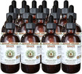 Grape Alcohol-Free Liquid Extract Grape (Vitis Vinifera) Dried Seed Glycerite Hawaii Pharm Natural Herbal Supplement 15x4 oz