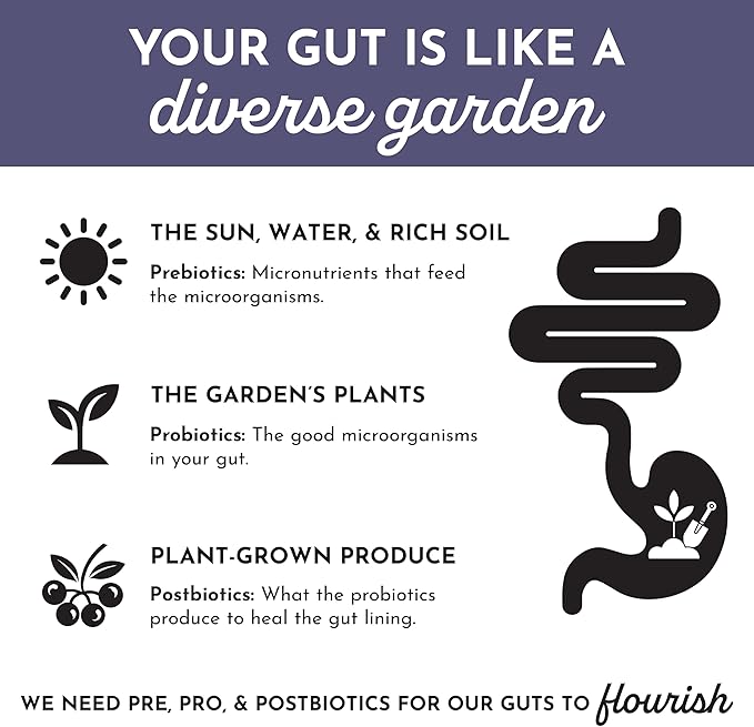 JUST INGREDIENTS Elderberry Lemonade 3-in-1 Probiotic Complex - Prebiotics Probiotics &amp Postbiotics - 30 Sticks