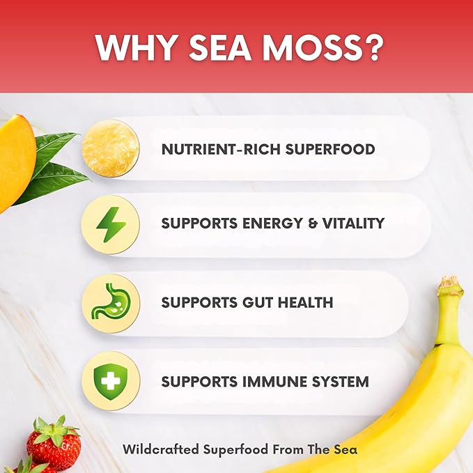 Wildcrafted Irish Sea Moss Gel 16 oz | Made in USA | Gold Seamoss Superfood | Rich in Vitamins &amp Minerals | Real Fruit | Nutritional Supplement | Strawberry Banana