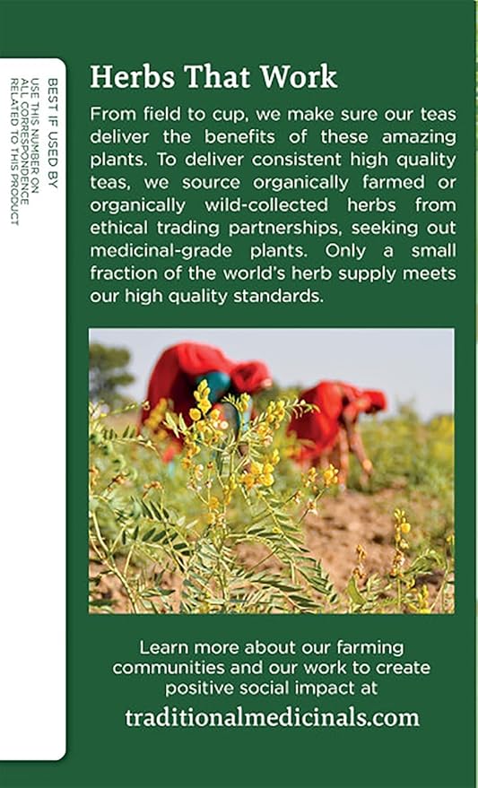 Traditional Medicinals Fennel Herbal Tea Organic 16 CT (Pack of 6)