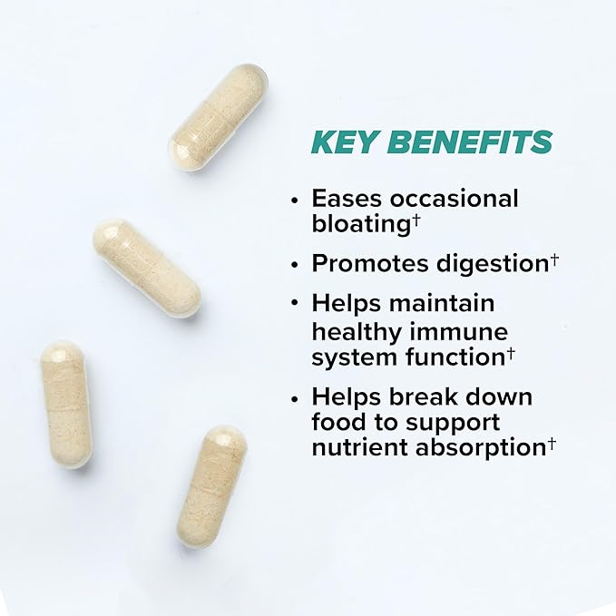 ONNIT Total Gut Health Daily Digestive Support IGEN Non-GMO Tested Digestion Supplement for Women and Men with 7 Strains of Probiotics Prebiotics Enzymes and Betaine HCL 120 Count