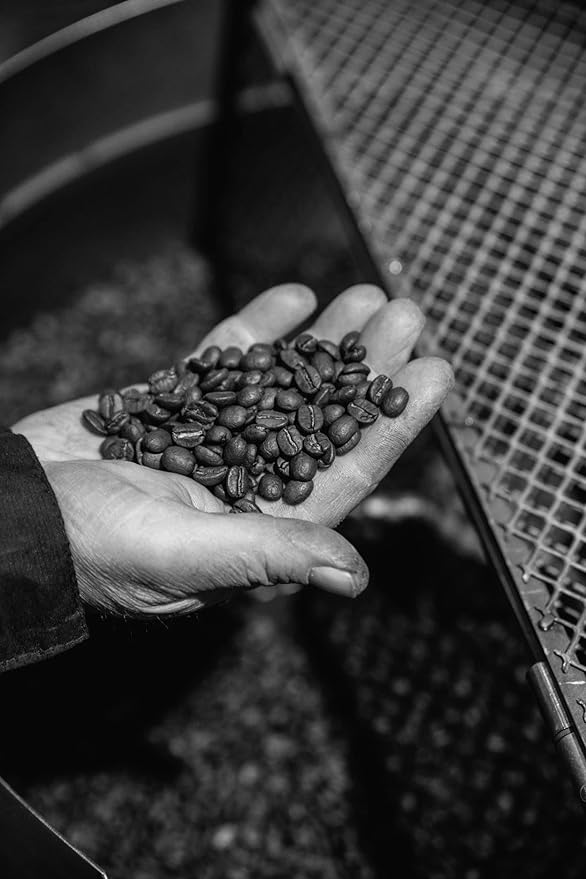 Bristot Sublime Espresso Beans – 100% Arabica Medium Roast – Italian Whole Bean Coffee – 2.2 lb (1kg) Bag