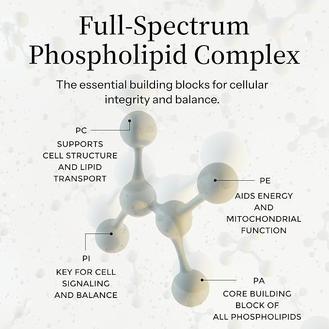 Essential Phospholipid Complex – Sunflower-Based Brain Supplement for Memory Focus Cellular Detox and Repair – Cognitive Support with PC PE PI PS PA – Non-GMO - 16fl oz