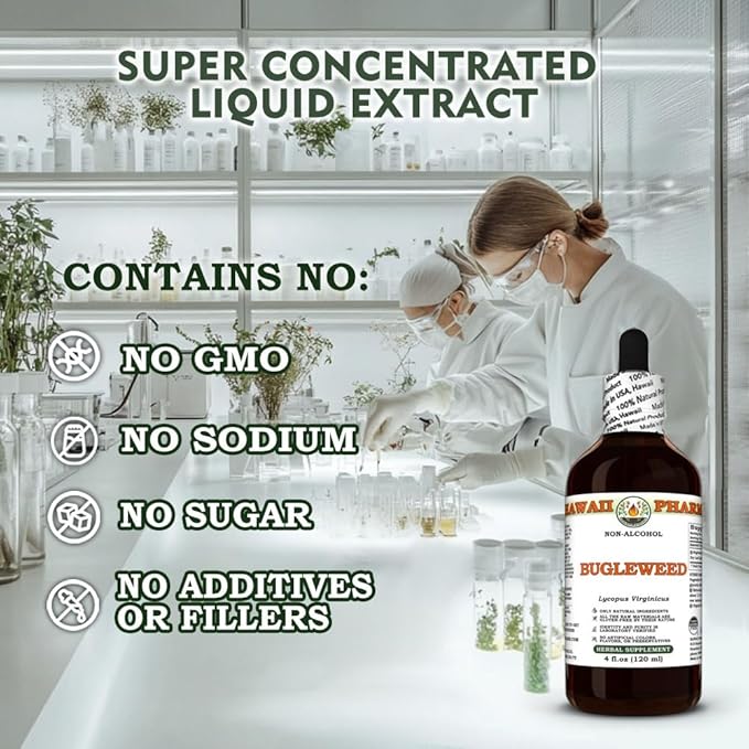 Hawaii Pharm Bugleweed Alcohol-Free Extract Glycerite for Thyroid Balance Eases Premenstrual Discomfort Soothes Breast Tenderness Supports Women's Wellness - 32 fl.oz
