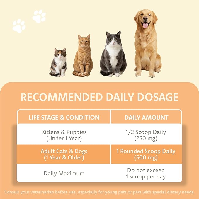 LOVITA Pets L-Lysine Powder for Cats &amp Dogs Immune Support Pet Supplement with AjiPure L-Lysine and Vitamin C Salmon Flavor for Daily Use Includes Scoop