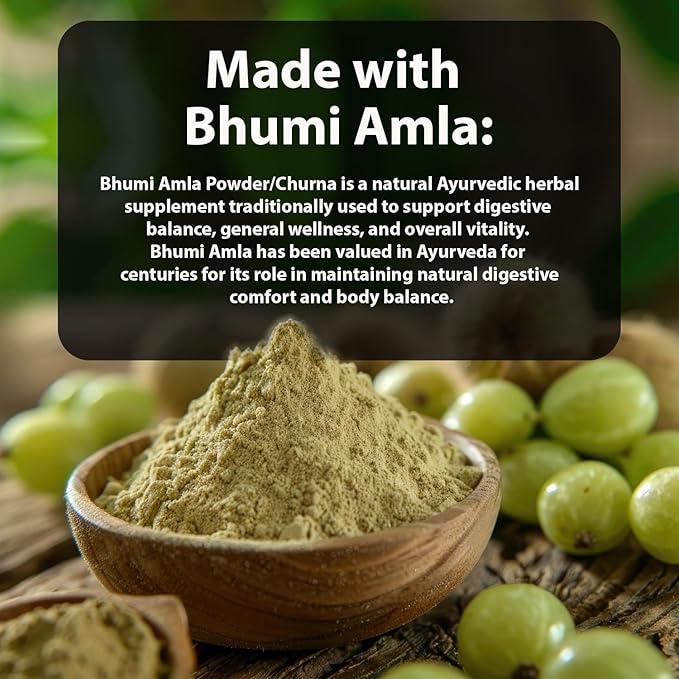 Bhumi Amla Powder/Churn - Organic and Pure Ingredient Extract for Healthy Liver Functioning and Digestive Strength Enriched with Essential Nutrients