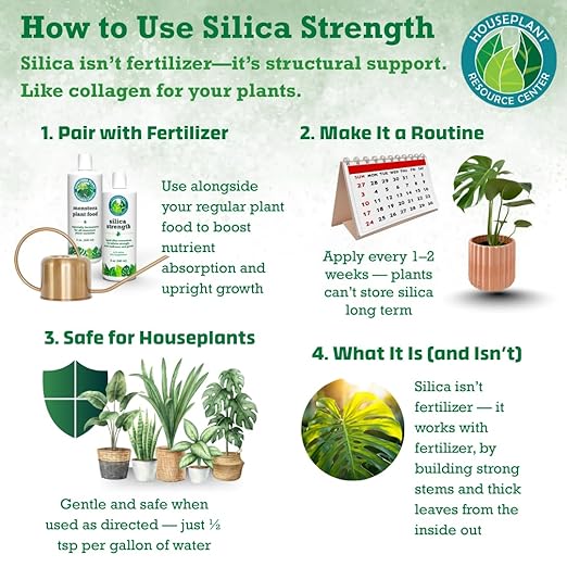 Silica Strength Plant Supplement – Strengthens Stems Supports Upright Leaves &amp Improves Stress Resilience | Ready-to-Use 4.5% Liquid Concentrate for Houseplants | 8 oz | Makes 96 Gallons